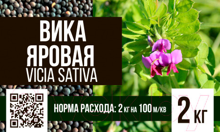 Изображение товара Сидерат БЕРКУТ Вика яровая (2кг)