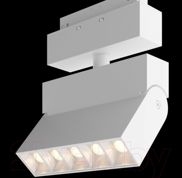 Изображение товара Трековый светильник Maytoni Points TR015-2-10W3K-W