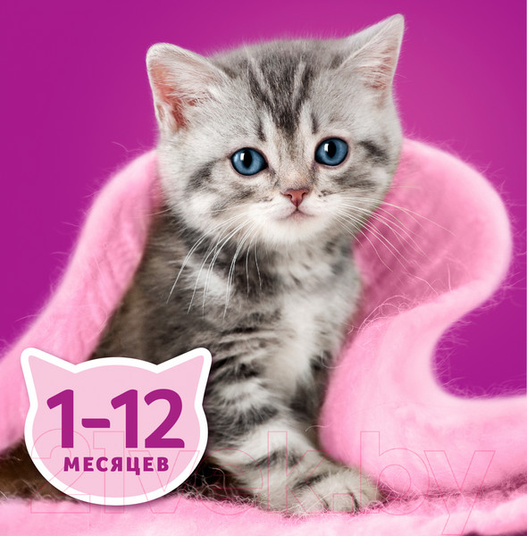 Изображение товара Влажный корм для кошек Whiskas Для котят от 1 до 12 месяцев рагу с ягненком (75г)