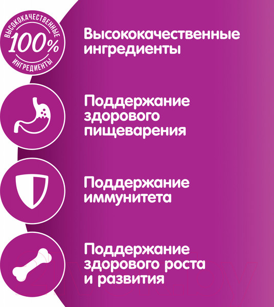 Изображение товара Влажный корм для кошек Whiskas Для котят от 1 до 12 месяцев рагу с курицей (75г)