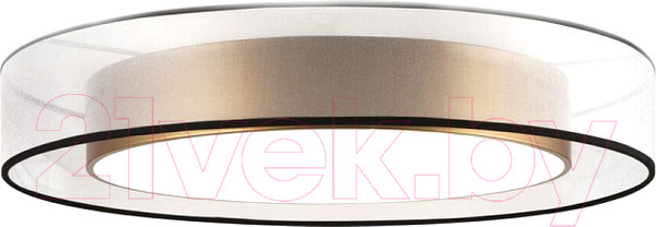 Изображение товара Потолочный светильник Freya Zoticus FR6005CL-L48G