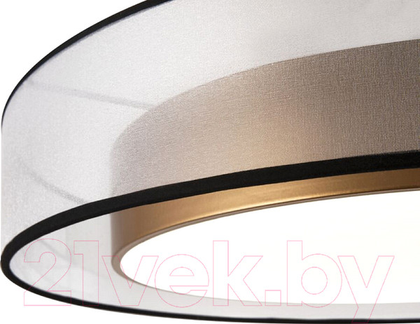 Изображение товара Потолочный светильник Freya Zoticus FR6005CL-L48G