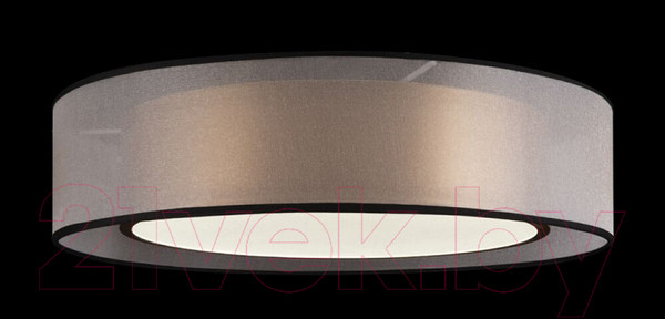 Изображение товара Потолочный светильник Freya Zoticus FR6005CL-L36G