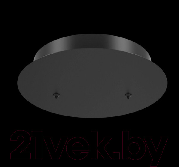 Изображение товара Потолочная база для светильника Maytoni Rim MOD058A-02B