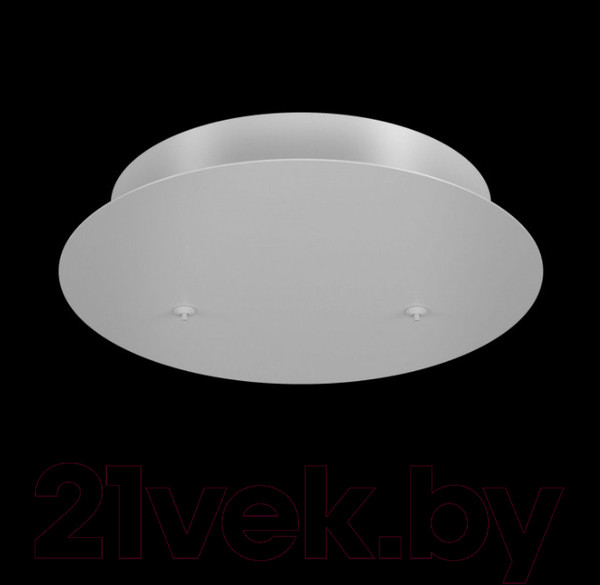 Изображение товара Потолочная база для светильника Maytoni Rim MOD058A-02W