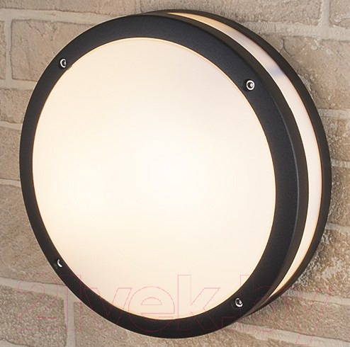 Изображение товара Светильник уличный Elektrostandard Techno 5602 (черный)