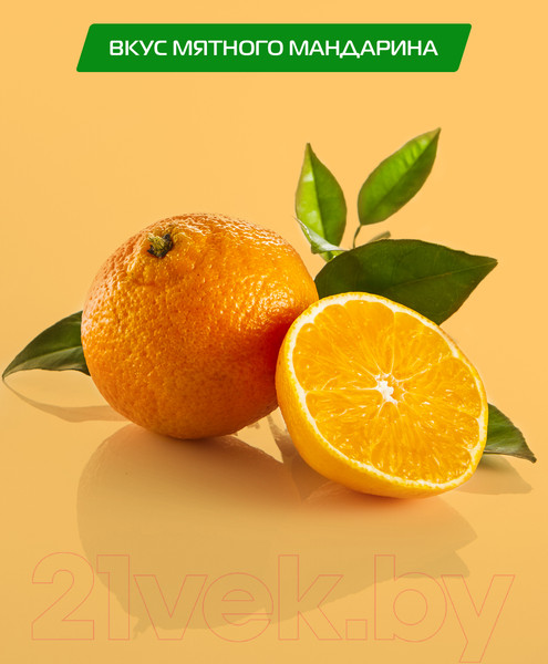 Изображение товара Ополаскиватель для полости рта Biomed Vitafresh (500мл)