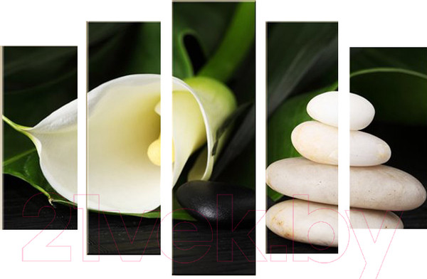 Изображение товара Картина модульная Arthata 5m-638 (160x90)