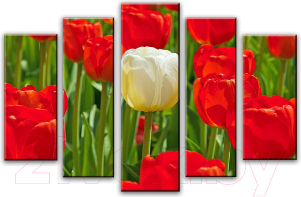 Изображение товара Картина модульная Arthata 5m-653 (160x90)