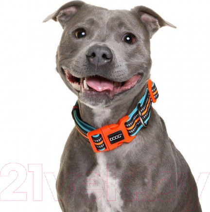 Изображение товара Ошейник DOOG Neon Beethoven / COLBEET-L (черный/оранжевый)