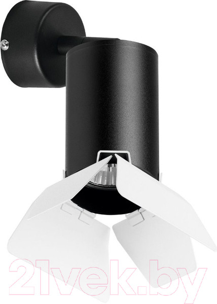 Изображение товара Спот Lightstar Rullo RB437436