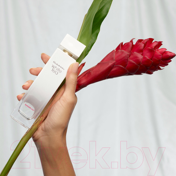 Изображение товара Туалетная вода Elizabeth Arden White Tea Ginger Lily (30мл)