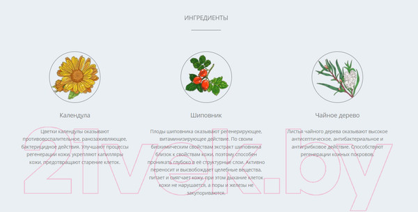 Изображение товара Крем солнцезащитный Levrana Календула SPF30 Pink 0+ PA+++ (100мл)