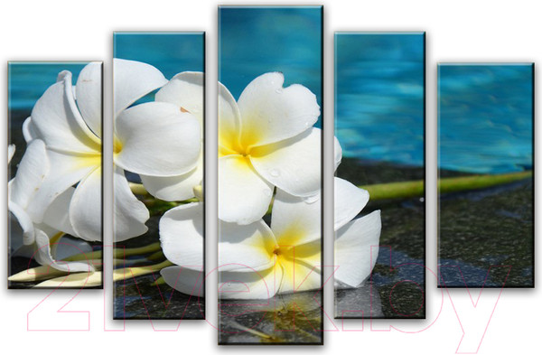 Изображение товара Картина модульная Arthata 5m-672 (105x60)