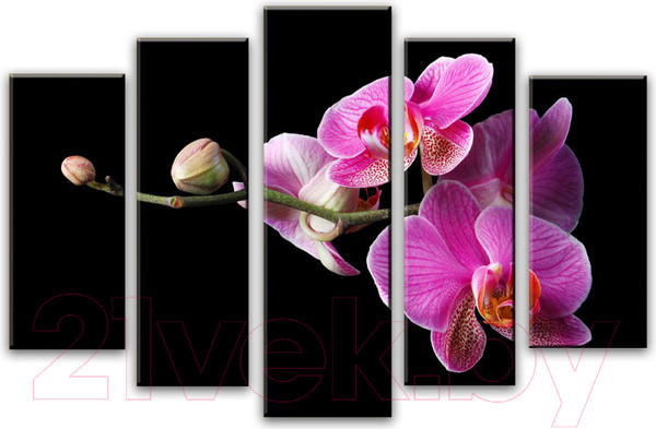 Изображение товара Картина модульная Arthata 5m-673 (130x80)