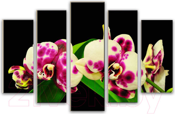 Изображение товара Картина модульная Arthata 5m-676 (130x80)