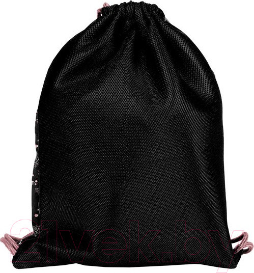 Изображение товара Мешок для обуви Paso PPGI21-713