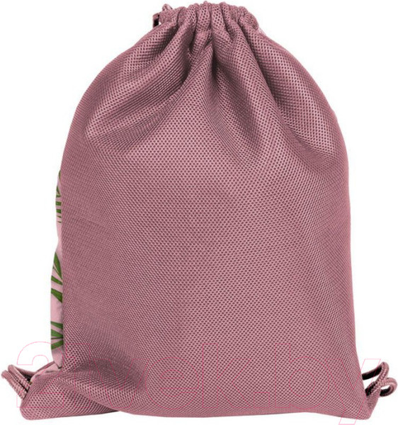 Изображение товара Мешок для обуви Paso PPTR21-713