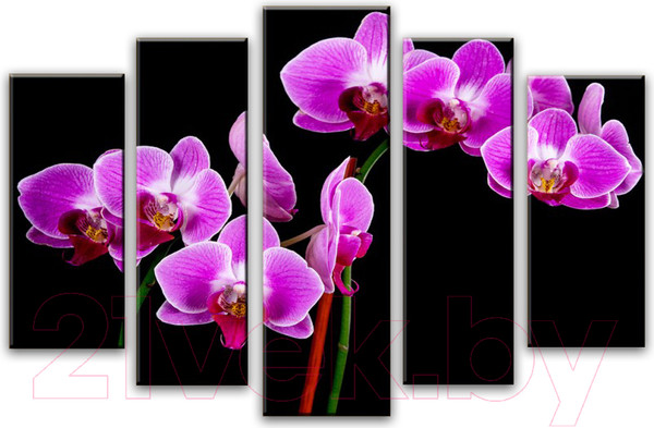 Изображение товара Картина модульная Arthata 5m-684 (160x90)