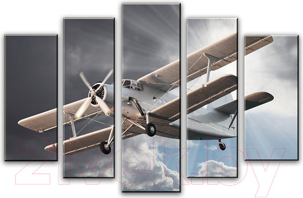 Изображение товара Картина модульная Arthata 5m-690 (105x60)