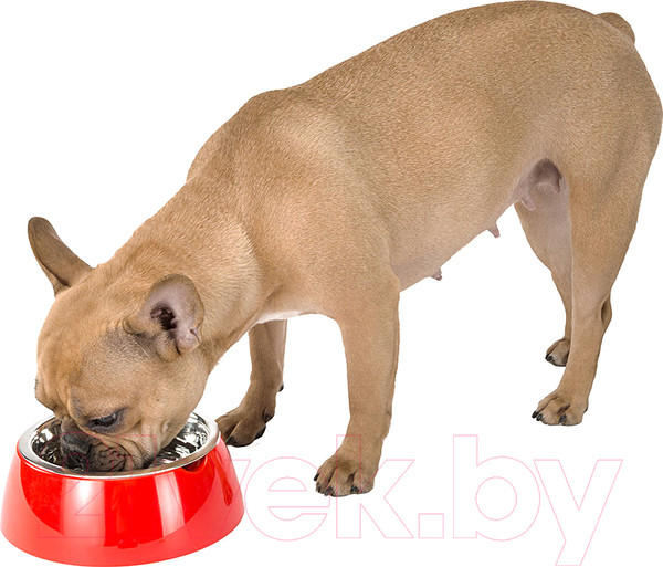Изображение товара Миска для животных Ferplast Jolie SM (0.5л, красный)