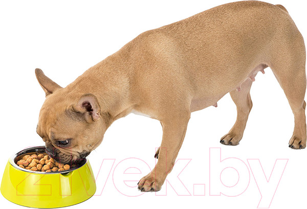 Изображение товара Миска для животных Ferplast Jolie L (1.2л, зеленый)