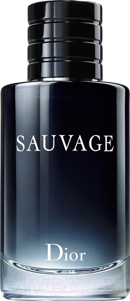 Изображение товара Туалетная вода Christian Dior Sauvage (100мл)