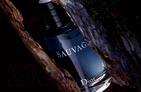 Изображение товара Туалетная вода Christian Dior Sauvage (100мл)