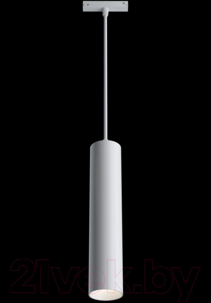Изображение товара Трековый светильник Maytoni Track Lamps TR016-2-12W4K-W