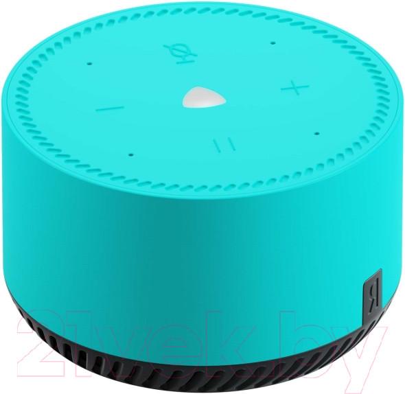 Изображение товара Умная колонка Яндекс Станция Лайт YNDX-00025G (мята)