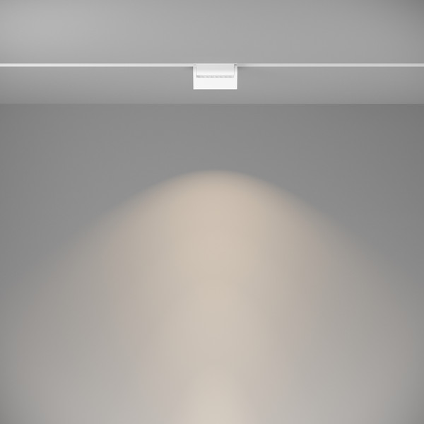 Изображение товара Трековый светильник Maytoni Basis TR013-2-10W4K-W