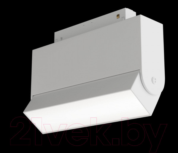 Изображение товара Трековый светильник Maytoni Basis TR013-2-10W4K-W