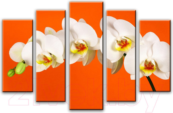 Изображение товара Картина модульная Arthata 5m-716 (160x90)