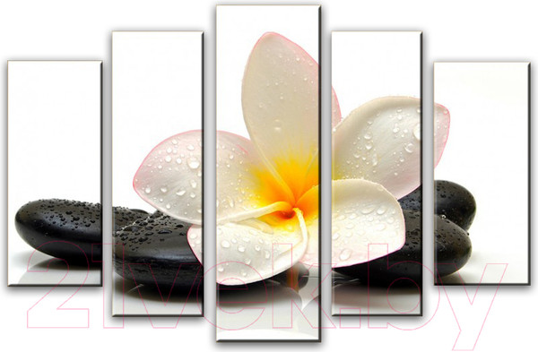 Изображение товара Картина модульная Arthata 5m-736 (105x60)