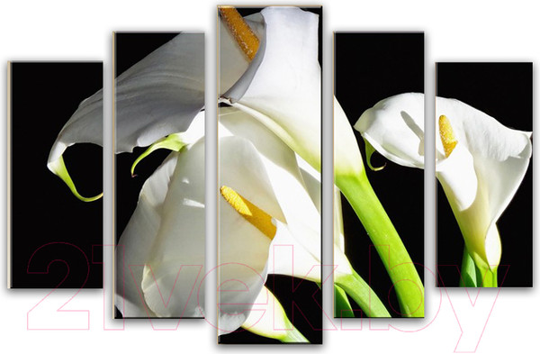 Изображение товара Картина модульная Arthata 5m-738 (130x80)