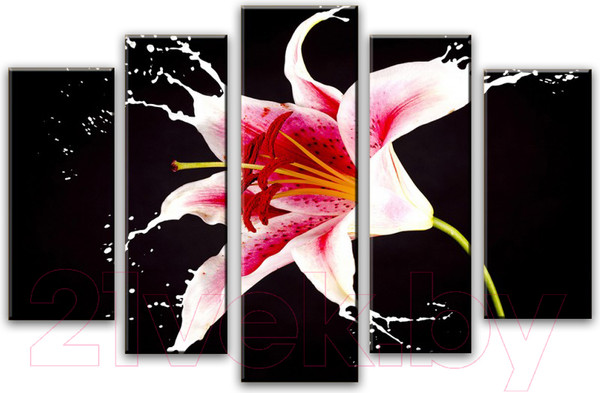 Изображение товара Картина модульная Arthata 5m-750 (160x90)