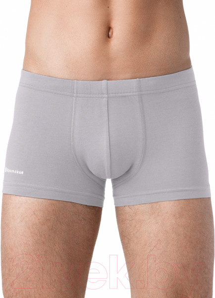 Изображение товара Трусы мужские Alfa Man 6200 (р-р 94-98, светло-серый)
