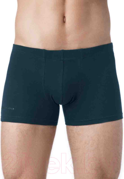 Изображение товара Трусы мужские Alfa Man 6300 (р-р 102-106, аквамарин)