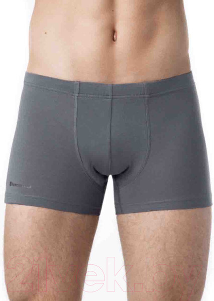 Изображение товара Трусы мужские Alfa Man 6300 (р-р 78-82, серый)