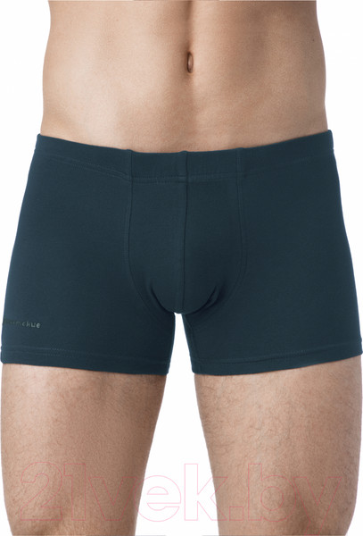 Изображение товара Трусы мужские Alfa Man 6300 (р-р 94-98, аквамарин)