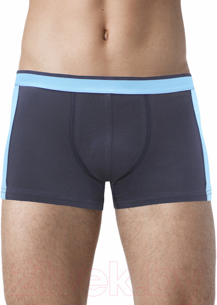 Изображение товара Трусы мужские Alfa Man 6302 (р-р 86-90, темно-серый/бирюза)