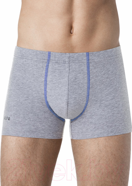Изображение товара Трусы мужские Alfa Man 6303 (р-р 102-106, светло-серый/синий)