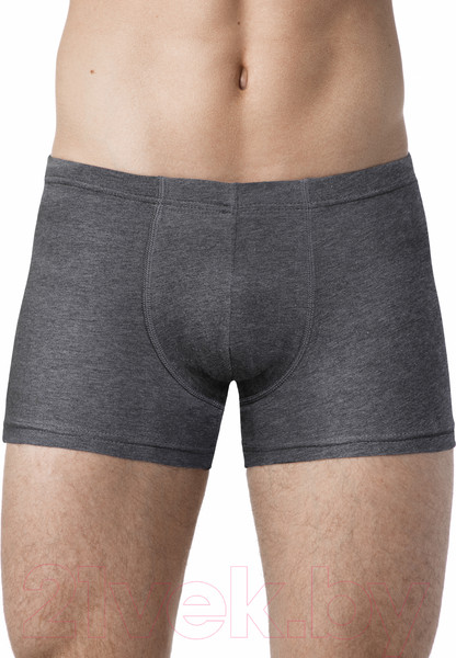 Изображение товара Трусы мужские Alfa Man 6303 (р-р 110-114, графит меланж)