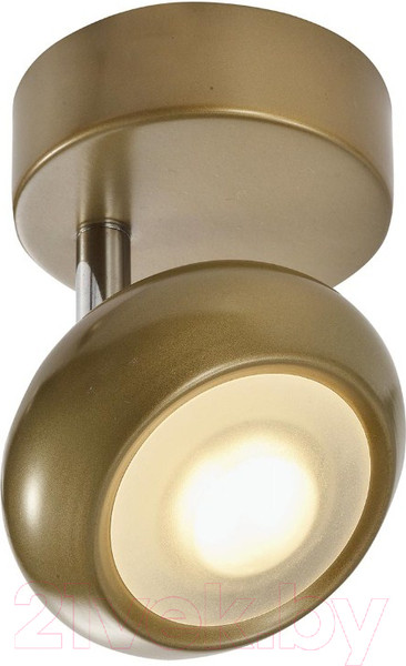 Изображение товара Спот Toplight Carissa TL1244Y-01SG