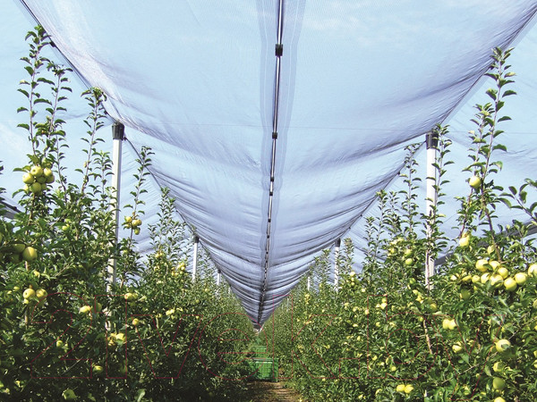 Изображение товара Защитная сетка для растений Щелково Агрохим Универсальная 4х10м