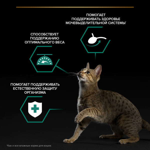 Изображение товара Влажный корм для кошек Pro Plan Maintenance Sterilised с говядиной в соусе (85г)