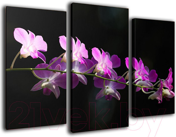 Изображение товара Картина модульная Arthata m-000125 (90x60)