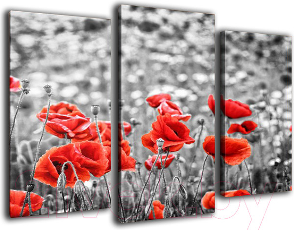 Изображение товара Картина модульная Arthata m-000132 (90x60)