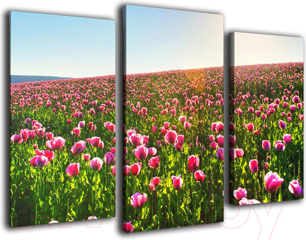 Изображение товара Картина модульная Arthata m-000134 (90x60)