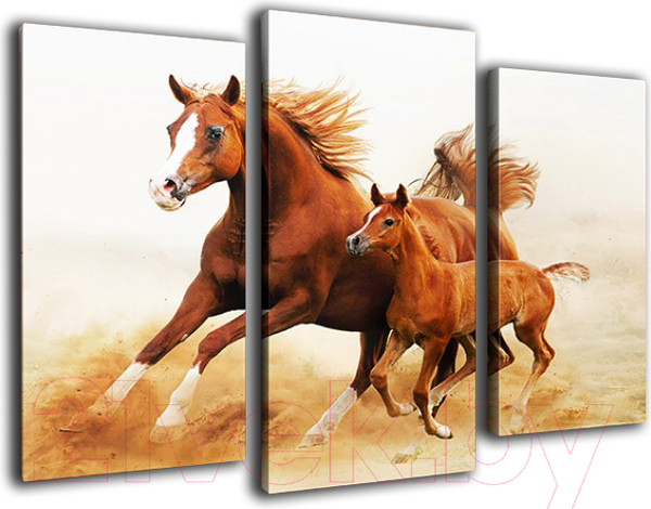 Изображение товара Картина модульная Arthata m-000142 (75x50)